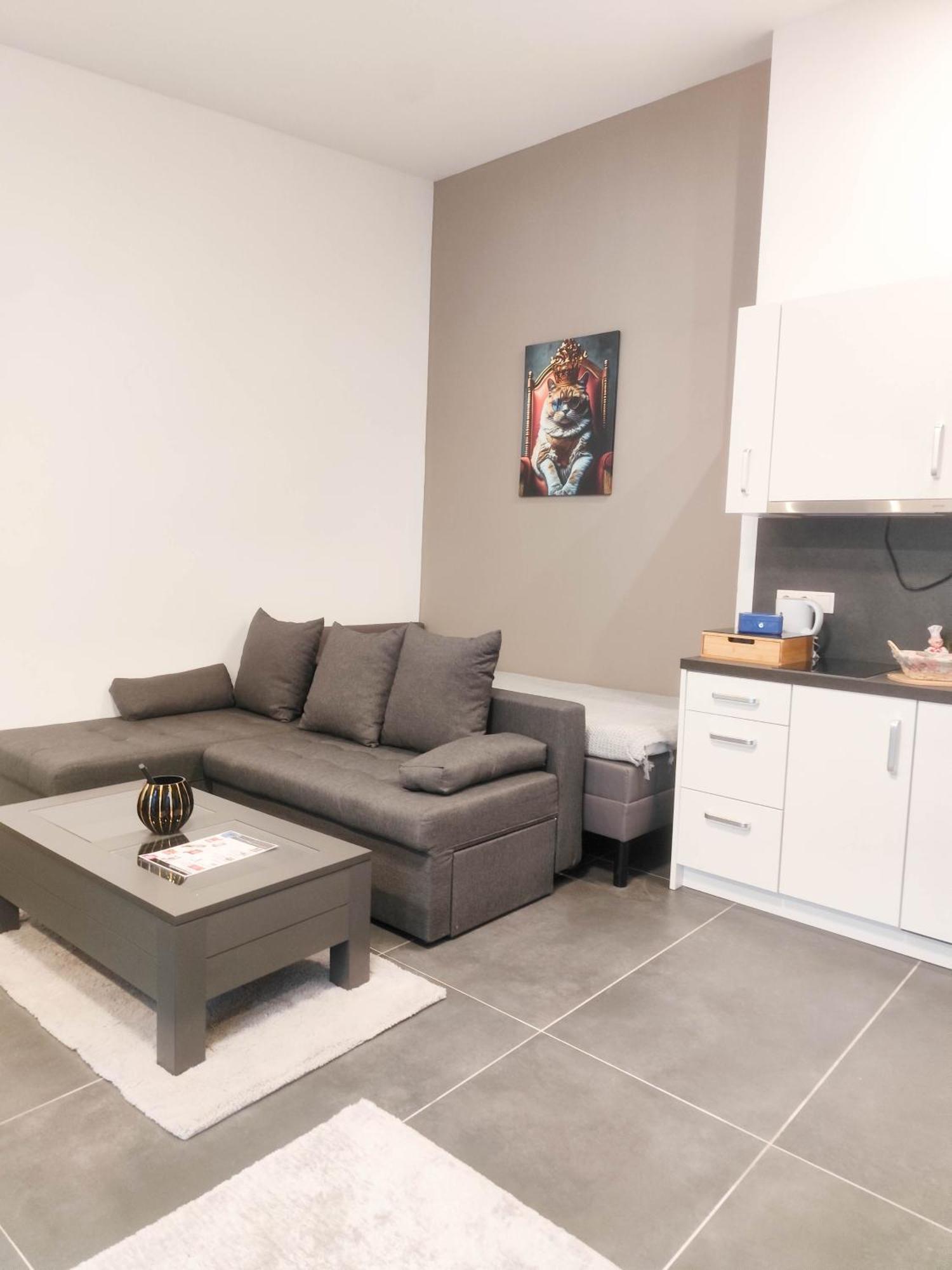 Cozy Apartments In Central Location With Free Parking Viena Exterior foto