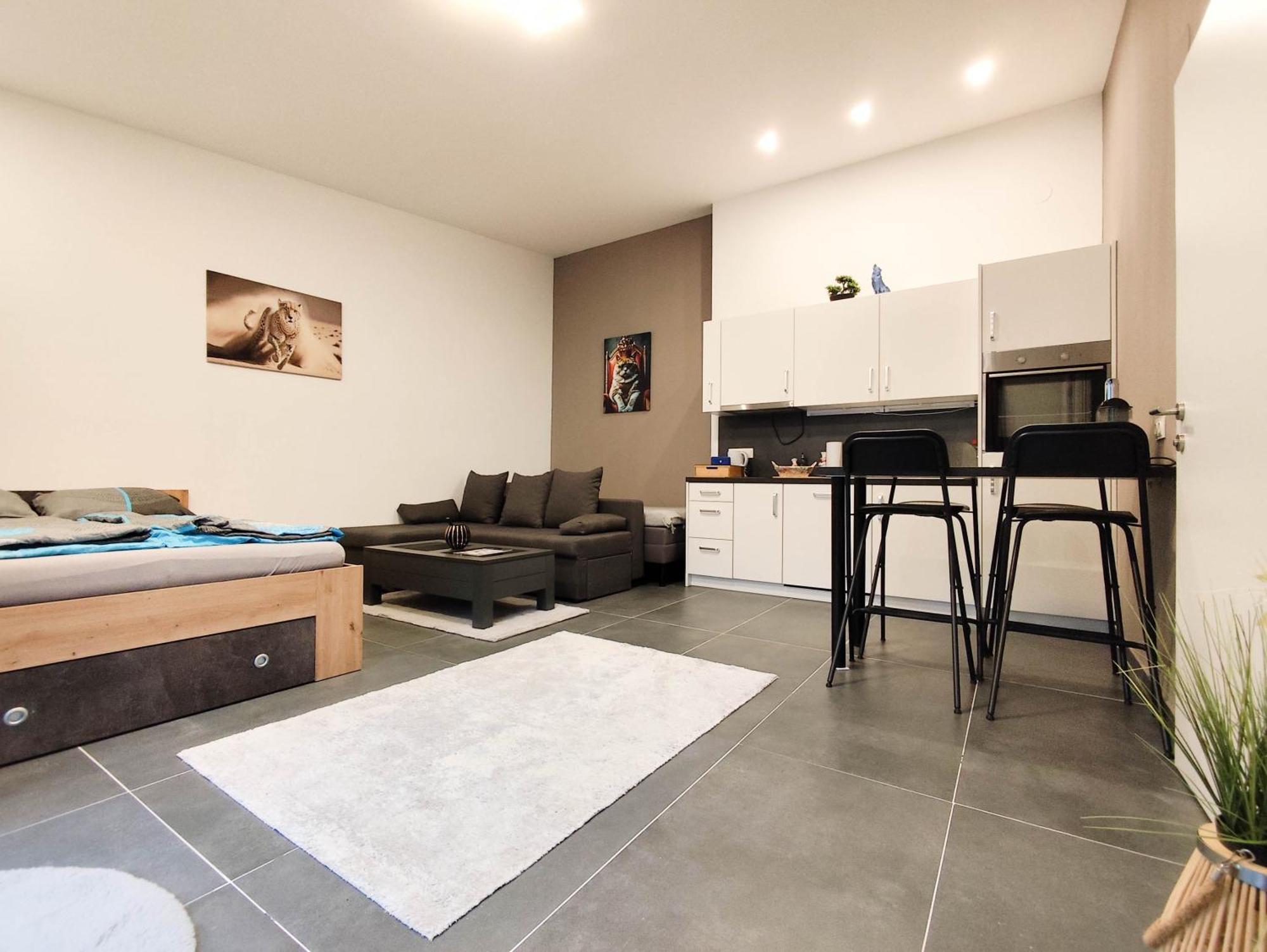 Cozy Apartments In Central Location With Free Parking Viena Exterior foto